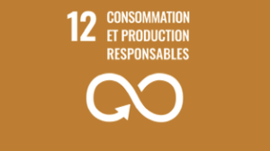 consommation et producion responsables